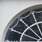No 6